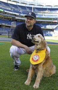 NEW YORK YANKEES DOG