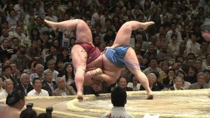 sumo