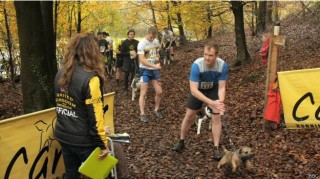 141201123911_canicross_624x351_bbc