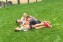 rs_650x650-170618103348-650-tom-brady-gisele-kids-061817