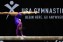 usa-gymnastics_18927hzs2exc81xngh1jtwaxzd