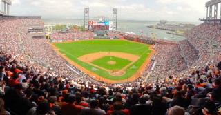 mlb900
