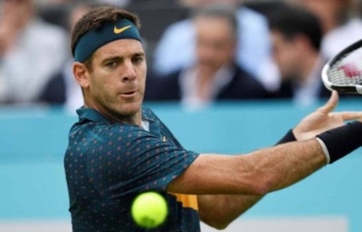 delpo-1024x575_12632022_20191115145613